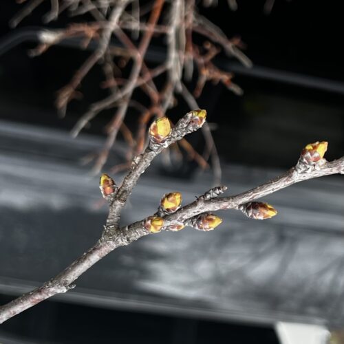 4/2