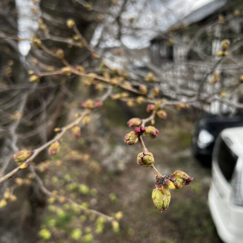 4/9