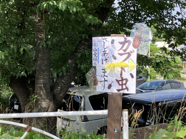 カブトムシ差し上げますっ！